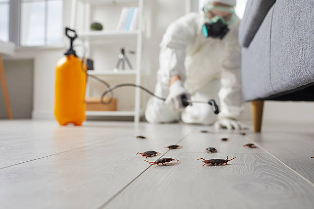 Post-Treatment Bed Bug Interceptor Monitoring in Vermillion