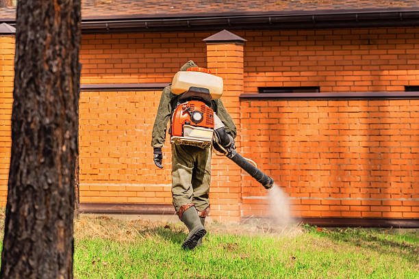 Bed Bug Clearance Verification and Documentation in Vermillion